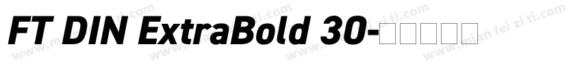 FT DIN ExtraBold 30字体转换